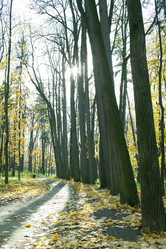 Similar image 1601156