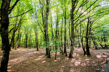 Similar image 1601687