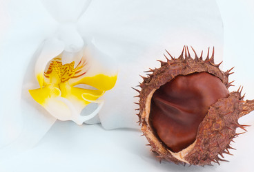 Similar image 1602014