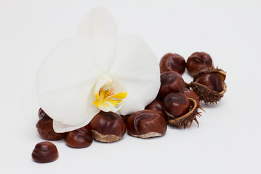 Similar image 1602015