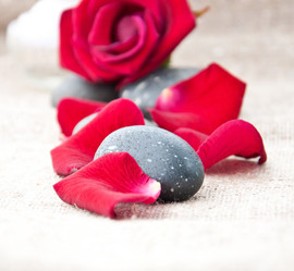 Similar image 1602027