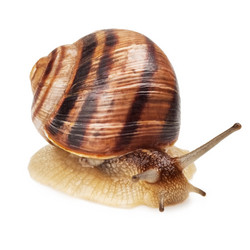 Similar image 1602029