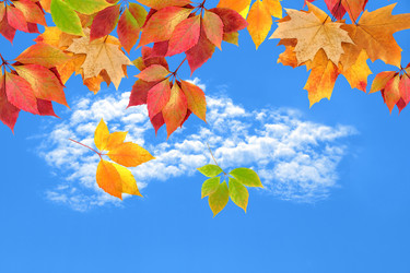 Similar image 1602069