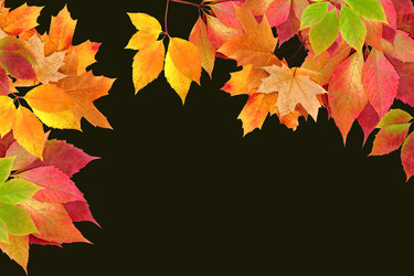 Similar image 1602072