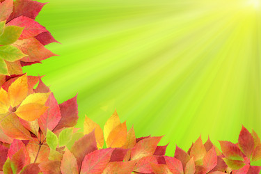 Similar image 1602073