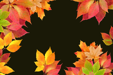 Similar image 1602090