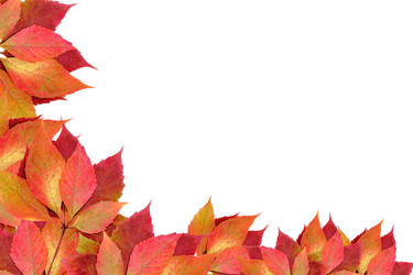 Similar image 1602094