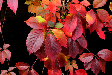 Similar image 1602119