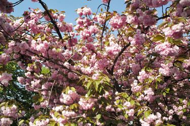 Similar image 1602150