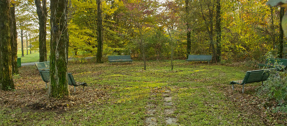 Similar image 1602162