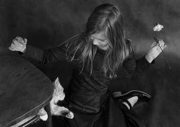 Similar image 1602246