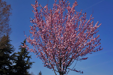 Similar image 1602275