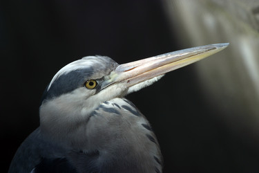 Similar image 1602290