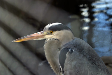 Similar image 1602291