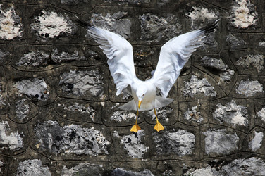 Similar image 1602304