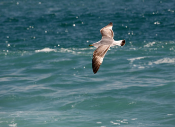 Similar image 1602308