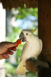 Similar image 1602313