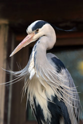 Similar image 1602317