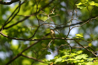 Similar image 1602322