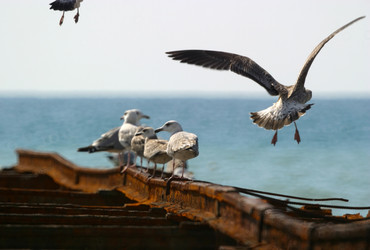 Similar image 1602323