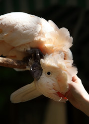 Similar image 1602324