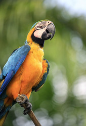 Similar image 1602329