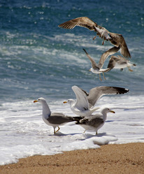 Similar image 1602332