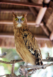 Similar image 1602333