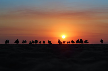 Similar image 1602337