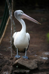 Similar image 1602338