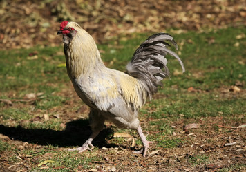 Similar image 1602340