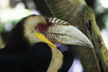 Similar image 1602341