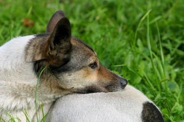 Similar image 1602348