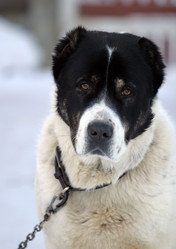 Similar image 1602350