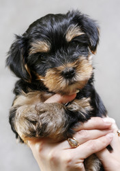 Similar image 1602357