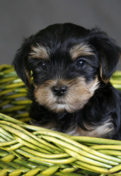 Similar image 1602358