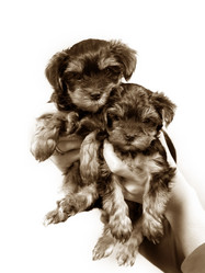 Similar image 1602359