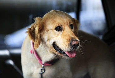 Similar image 1602361