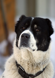 Similar image 1602364