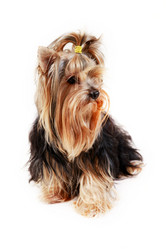 Similar image 1602385