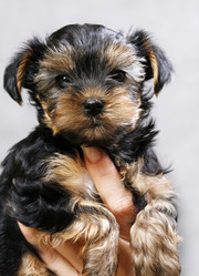 Similar image 1602389