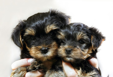 Similar image 1602390