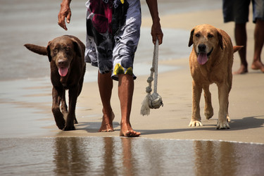 Similar image 1602398