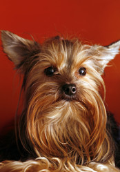 Similar image 1602404