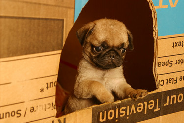 Similar image 1602408