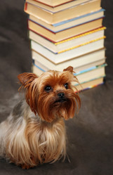 Similar image 1602409