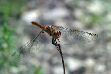 Similar image 1602411