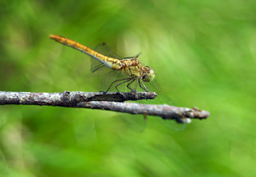 Similar image 1602412