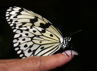 Similar image 1602413