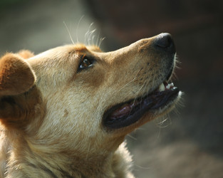 Similar image 1602415